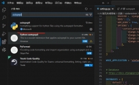 python 代码再vscode里面无法格式化